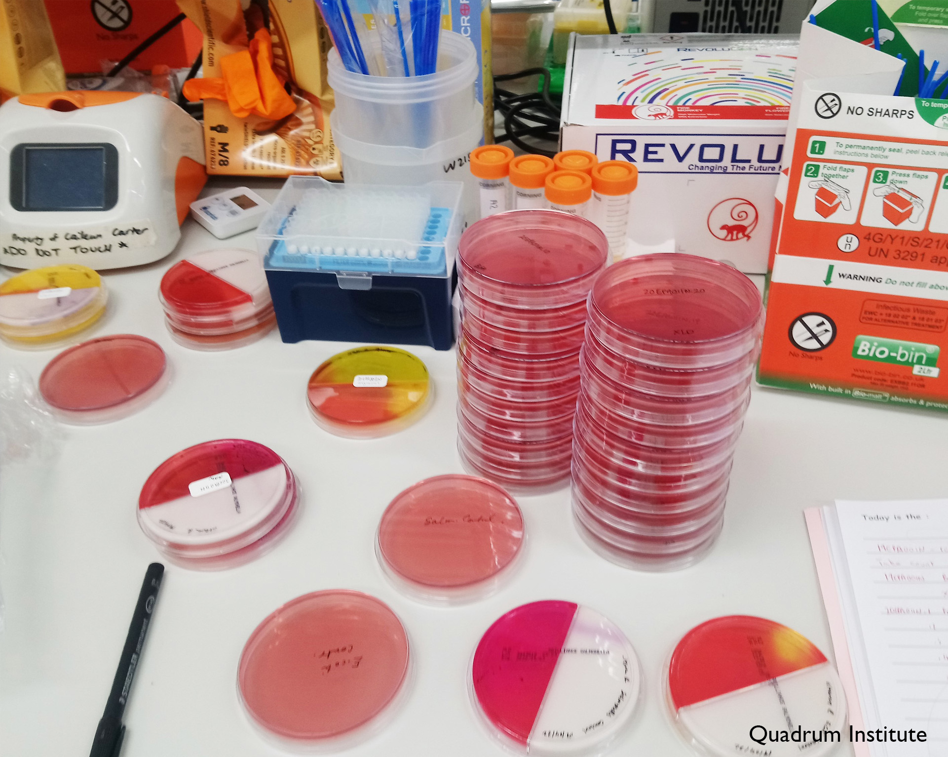 images/news_images/Quadrum Institute pic.jpg